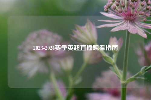 2023-2024赛季英超直播观看指南