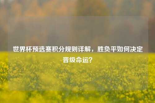 世界杯预选赛积分规则详解，胜负平如何决定晋级命运？