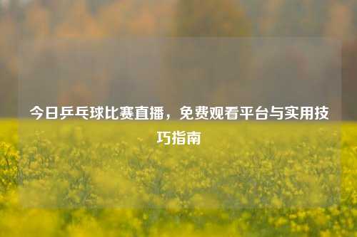 今日乒乓球比赛直播，免费观看平台与实用技巧指南