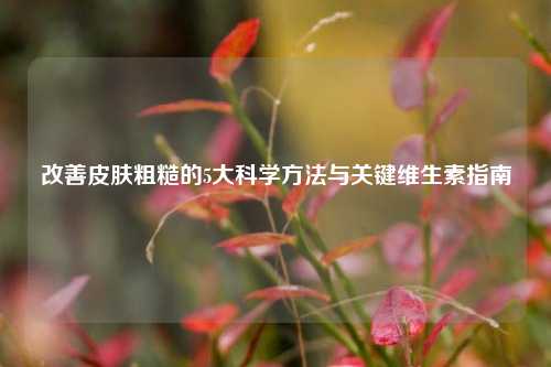 改善皮肤粗糙的5大科学     与关键维生素指南