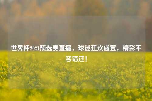 世界杯2021预选赛直播，球迷狂欢盛宴，精彩不容错过！