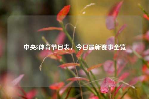 中央5体育节目表，今日最新赛事全览