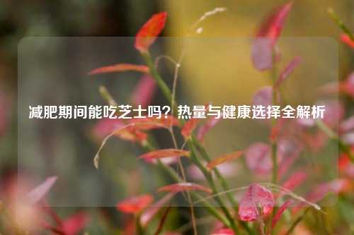 减肥期间能吃芝士吗？热量与健康选择全解析