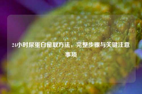 24小时尿蛋白留取     ，完整步骤与关键注意事项
