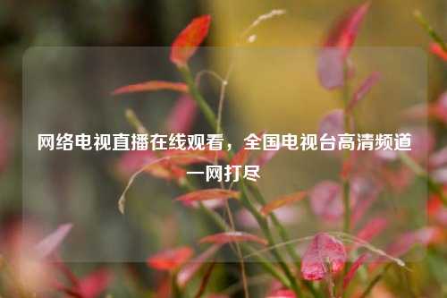      电视直播在线观看，全国电视台高清频道一网打尽