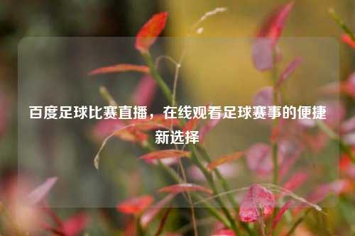 百度足球比赛直播，在线观看足球赛事的便捷新选择