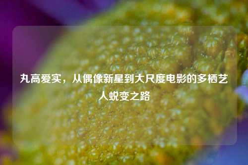 丸高爱实，从偶像新星到大尺度电影的多栖艺人蜕变之路