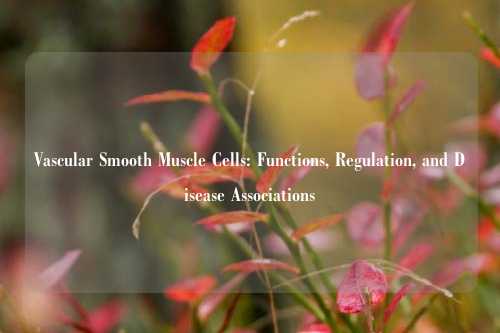 Vascular Smooth Muscle Cells: Functions, Regulation, and Disease Associations