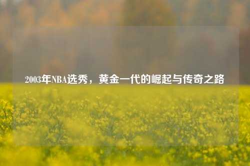 2003年NBA选秀，黄金一代的崛起与传奇之路