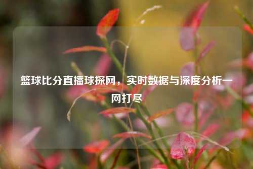 篮球比分直播球探网，实时数据与深度分析一网打尽