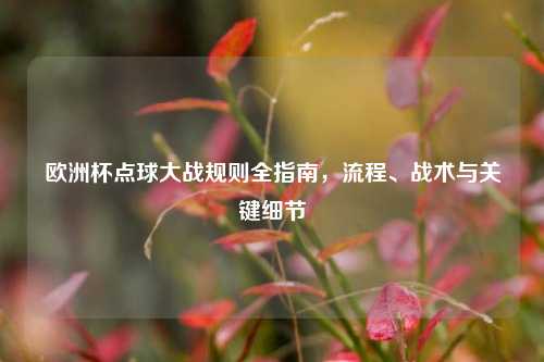 欧洲杯点球大战规则全指南，流程、战术与关键细节