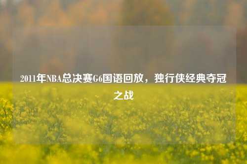 2011年NBA总决赛G6国语回放，独行侠经典夺冠之战