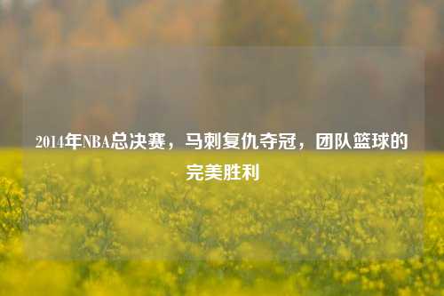 2014年NBA总决赛，马刺复仇夺冠，团队篮球的完美胜利