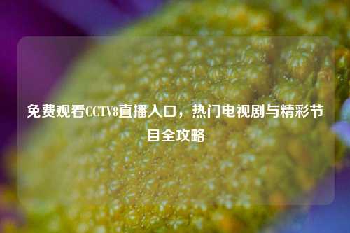 免费观看CCTV8直播入口，热门电视剧与精彩节目全攻略