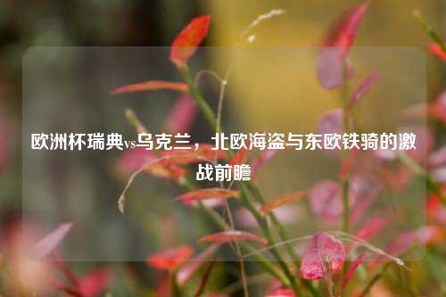 欧洲杯瑞典vs乌克兰，北欧海盗与东欧铁骑的激战前瞻