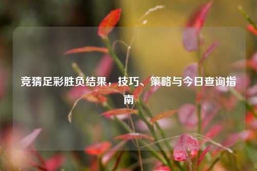 竞猜足彩胜负结果，技巧、策略与今日查询指南