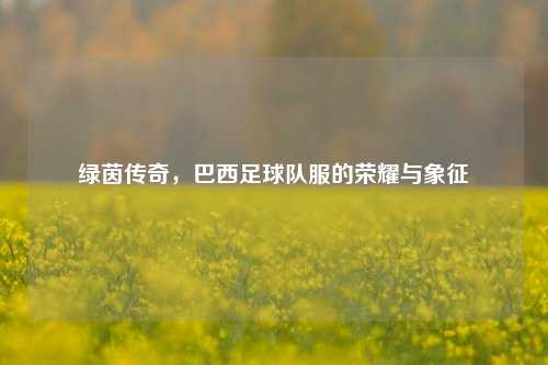 绿茵传奇，巴西足球队服的荣耀与象征