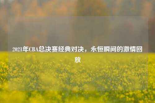 2021年CBA总决赛经典对决，永恒瞬间的     回放