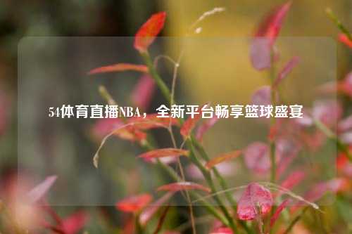 54体育直播NBA，全新平台畅享篮球盛宴
