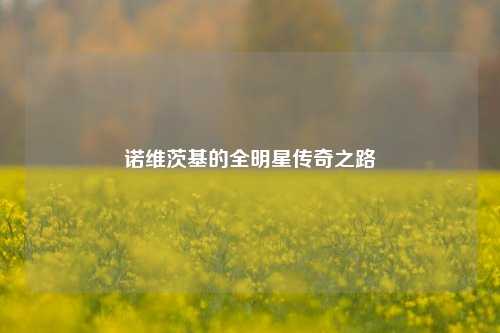 诺维茨基的全明星传奇之路