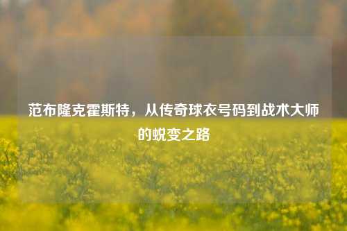 范布隆克霍斯特，从传奇球衣号码到战术大师的蜕变之路