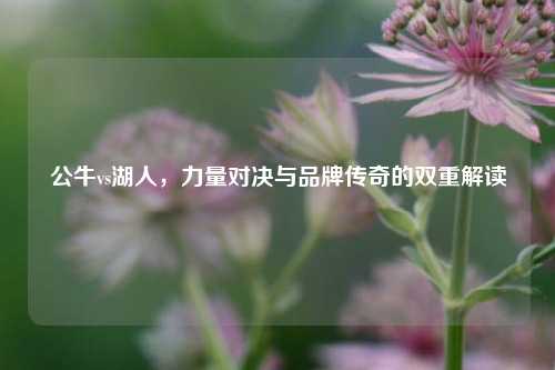 公牛vs湖人，力量对决与品牌传奇的双重解读