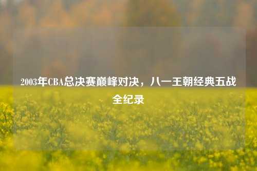 2003年CBA总决赛巅峰对决，八一王朝经典五战全纪录