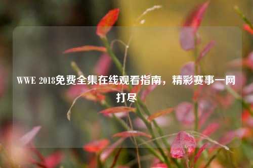 WWE 2018免费     观看指南，精彩赛事一网打尽