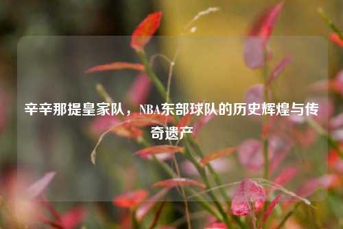 辛辛那提皇家队，NBA东部球队的历史辉煌与传奇遗产