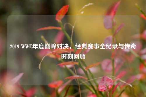 2019 WWE年度巅峰对决，经典赛事全纪录与传奇时刻回顾