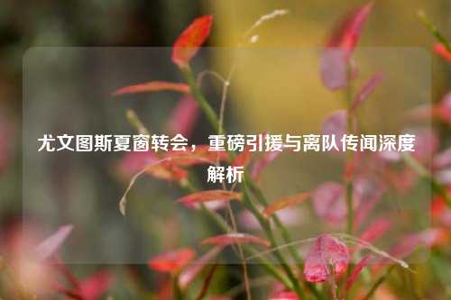 尤文图斯夏窗转会，重磅引援与离队传闻深度解析