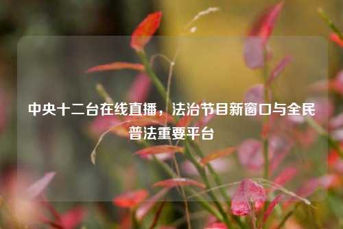 中央十二台在线直播，法治节目新窗口与全民普法重要平台