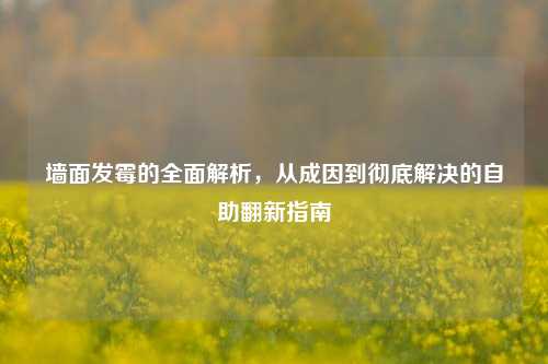 墙面发霉的全面解析，从成因到彻底解决的自助翻新指南