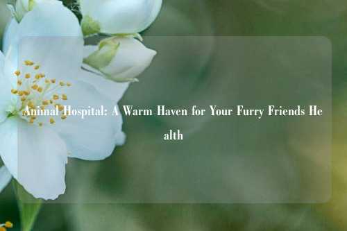 Animal Hospital: A Warm Haven for Your Furry Friends Health