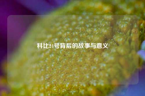 科比24号背后的故事与意义