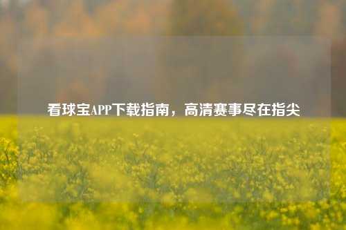 看球宝APP下载指南，高清赛事尽在指尖