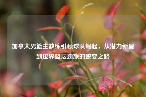 加拿大男篮主教练引领球队崛起，从潜力新星到世界篮坛劲旅的蜕变之路