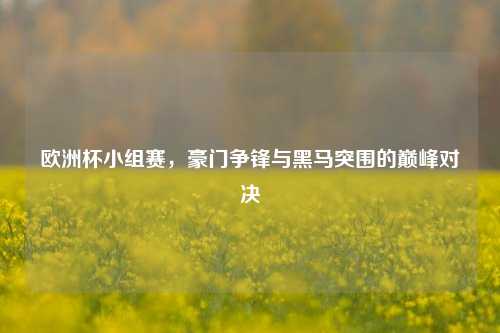欧洲杯小组赛，豪门争锋与黑马突围的巅峰对决