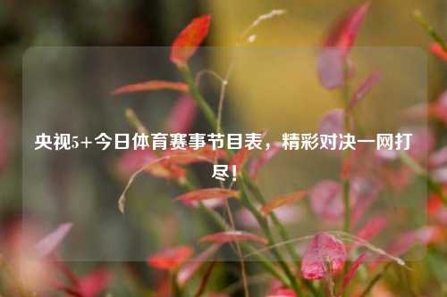 央视5+今日体育赛事节目表，精彩对决一网打尽！