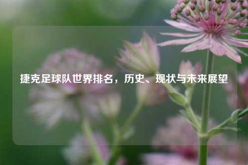 捷克足球队世界排名，历史、现状与未来展望
