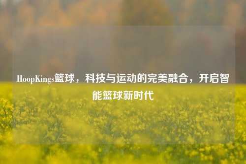 HoopKings篮球，科技与运动的完美融合，开启智能篮球新时代