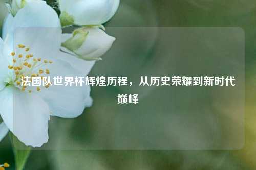 法国队世界杯辉煌历程，从历史荣耀到新时代巅峰