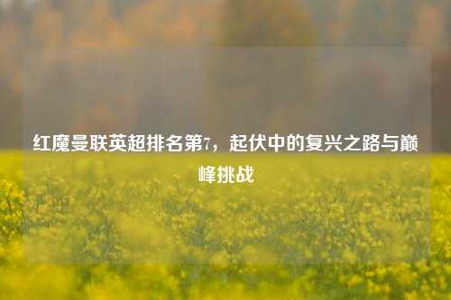 红魔曼联英超排名第7，起伏中的复兴之路与巅峰挑战