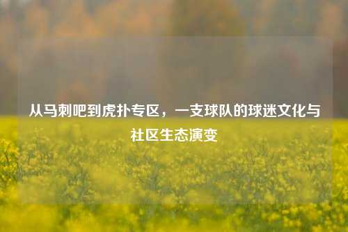 从马刺吧到虎扑专区，一支球队的球迷文化与社区生态演变