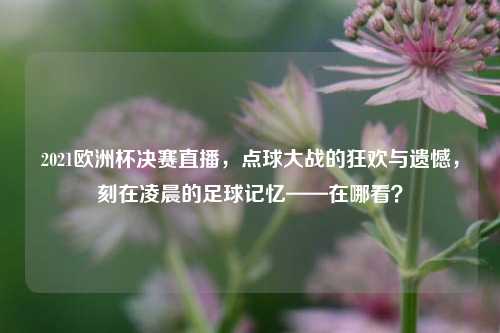 2021欧洲杯决赛直播，点球大战的狂欢与遗憾，刻在凌晨的足球记忆——在哪看？