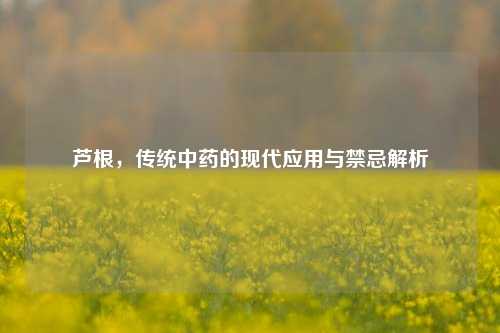 芦根，传统中药的现代应用与禁忌解析