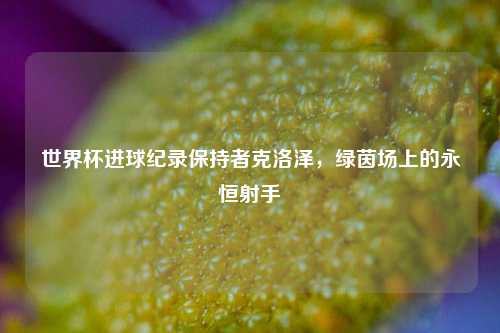 世界杯进球纪录保持者克洛泽，绿茵场上的永恒射手