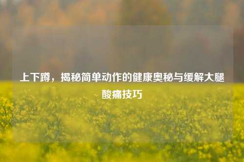 上下蹲，揭秘简单动作的健康奥秘与缓解大腿酸痛技巧