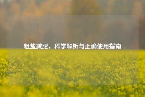 粗盐减肥，科学解析与正确使用指南