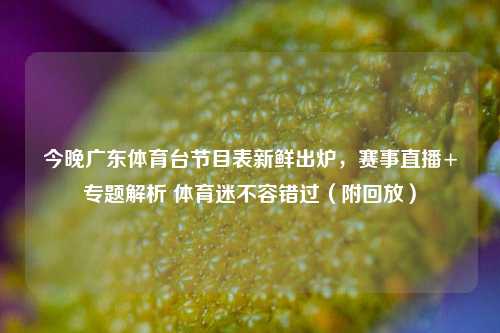 今晚广东体育台节目表新鲜出炉，赛事直播+专题解析 体育迷不容错过（附回放）